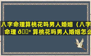 八字命理算桃花吗男人婚姻（八字命理 💮 算桃花吗男人婚姻怎么样）